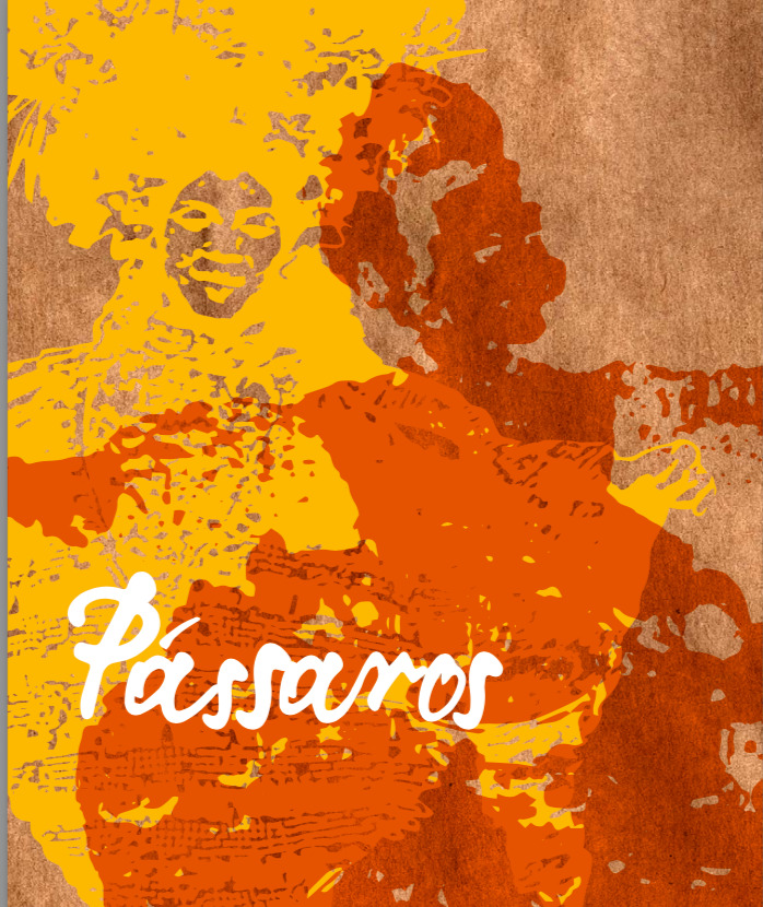 Pássaros book cover